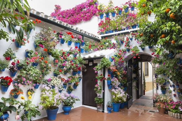 Fiesta de los patios de Córdoba