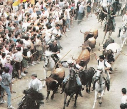 Entrada de toros y caballos de Segorbe