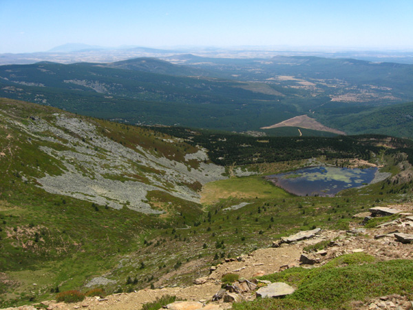 Bosques de la Sierra Cebollera